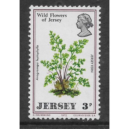 JERSEY 1972 WILD FLOWERS 3p JERSEY FERN SG 69 M MINT