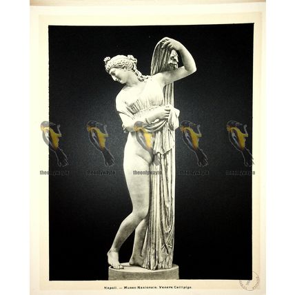 Naples, National Museum, Venus of Callipige, Italy, Book Illustration, 1899