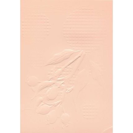 5"x7" Embossed Paper. 10 Sheets. Berries (18). Cardmaking Scrapbooking Crafts