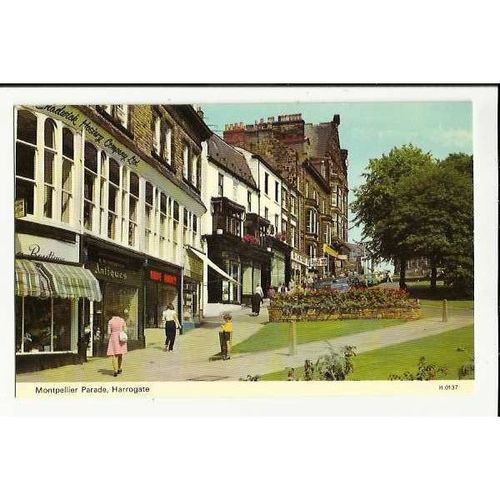 Yorkshire HARROGATE Montpelier Parade Postcard by Dennis (H.0137)
