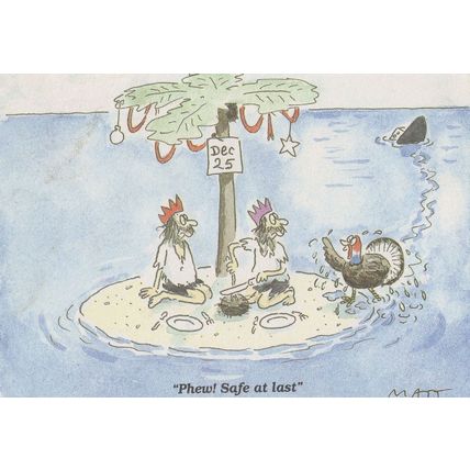 Desert Island Robinson Crusoe Bird Christmas Ship Newspaper Postcard