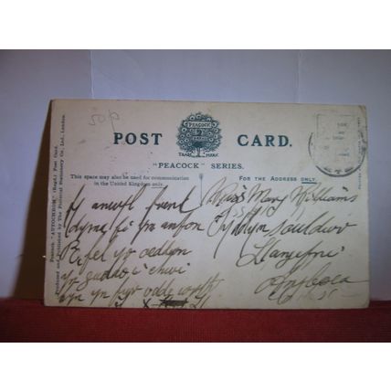 GWYDR CASTLE, CONWAY VALLEY, used antique postcard Peacock series CONWY... =