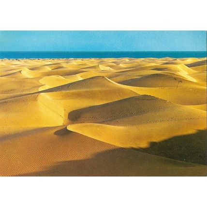 PLAYA DEL INGLES - GRAN CANARIA - POSTCARD ~