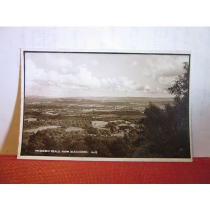 THE SUSSEX WEALD from BLACKDOWN unused vintage postcard by Colin Futcher =