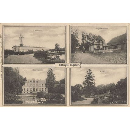 Rittergut Herrenhaus Dugsdorf Park Vicchaus Inspektorhaus German Old Postcard