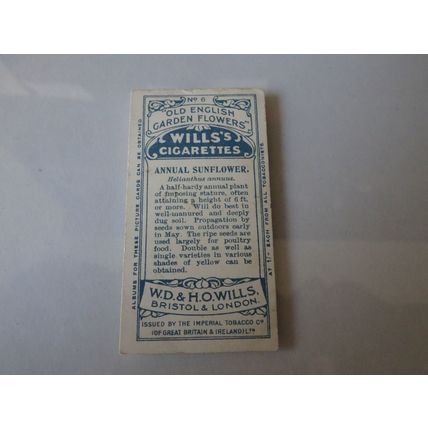 1910 Wills's Cigarettes Old English Garden Flowers Card # 06 Annual Sunflower
