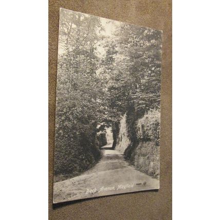 1917 fr Postcard - Back Avenue, Mayfield - Weald, Sussex