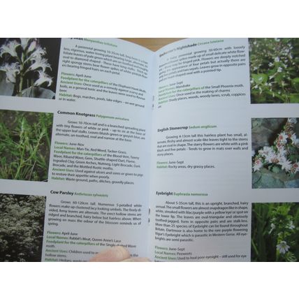 Wildflowers of Dartmoor by Beer - Haytor - Paperback book