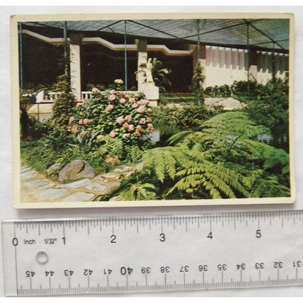 1961 Portugese postcard Cold Greenhouse, Lake near the Gallery