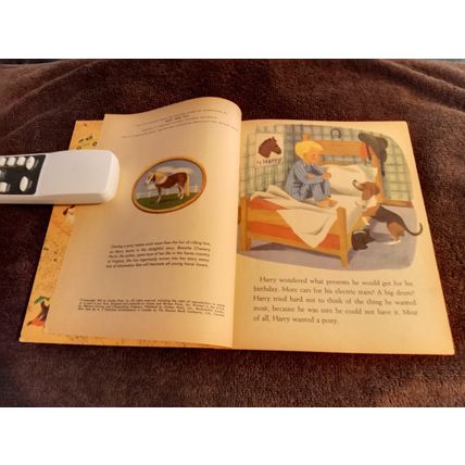 Little Golden Book The New Pony (A)Edition Fine 6.0 Shape By Blanche Perrin 1961