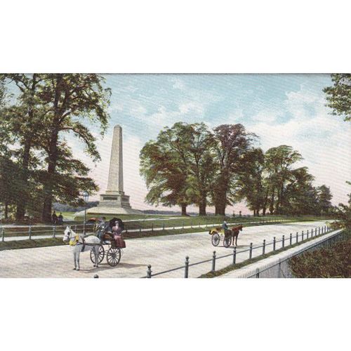 Phoenix Park Dublin Irish Postcard (IRE1182)