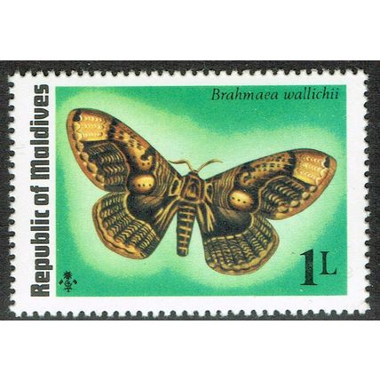 Maldives 1975 Butterflies and Moths 1l Multicoloured SG595 UM