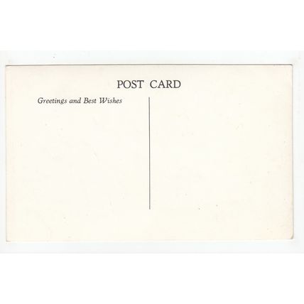 Haldon Manor Hotel Torquay Postcard Devon
