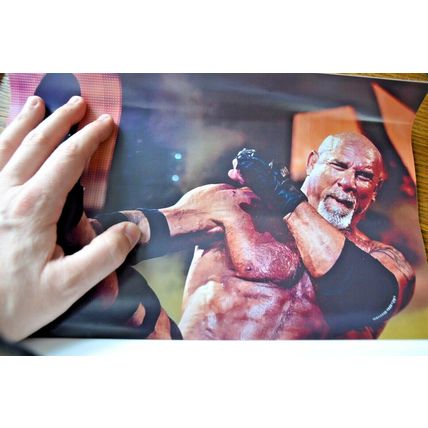 LARGE BUNDLE of Wrestle Crate posters WWE WCW AEW Asuka Goldberg Cody Rhodes x10