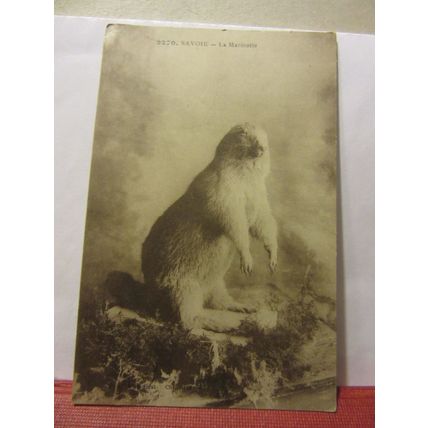 LA MARMOTTE, SAVOIE, FRANCE unused antique postcard #