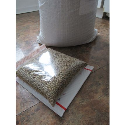 5 LB Green Unroasted Coffee Beans Costa Rica Fuego Anaerobic SHB EP Fcy MICROLOT