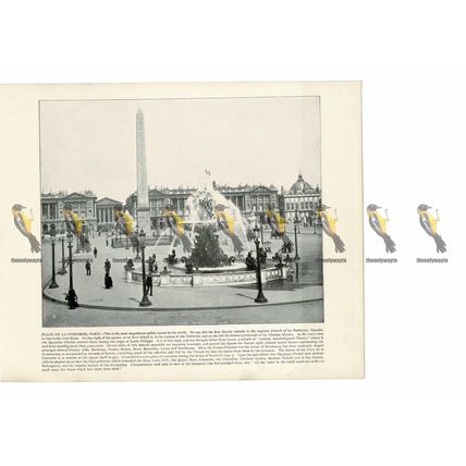 Place de la Concorde. Paris, France, Book Illustration (Print), 1899