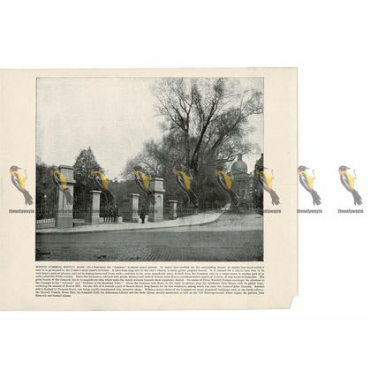 Boston Common, Boston, Mass, USA, Book Illustration (Print), 1899