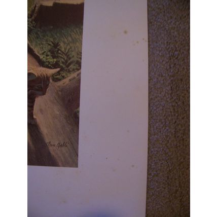 Stan Galli Bobcat & Kittens Print 20 X 22 3/4 Weyerhaueser Wildlife 1960'S