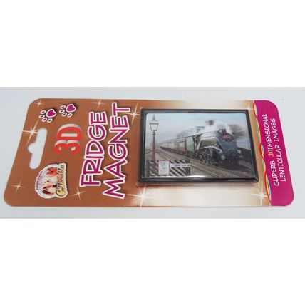 STEAM TRAIN fridge magnets 3D or Antique brass effect 8 choices
