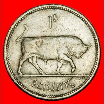 Ⰶ GREAT BRITAIN (1951-1968): IRELAND ★ 1 SHILLING 1966 BULL★LOW START★NO RESERVE