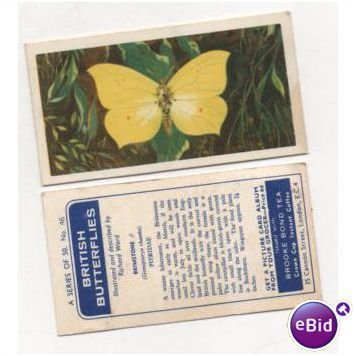Brooke Bond Tea card BRITISH BUTTERFLIES no.46 BRIMSTONE