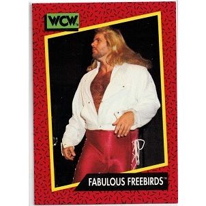WCW ' FABULOUS FREEBIRDS ' card # 125 (1991)