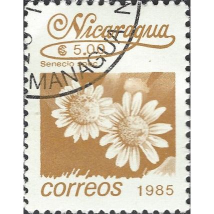 NICARAGUA, FLOWER, Sunflower, Senecio, brown 1985, 5cordoba