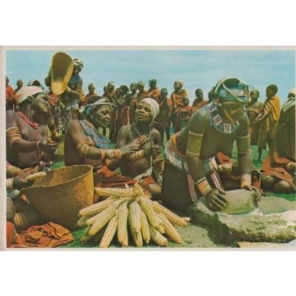 Africa Harvest Festival Pondo African Girls Transkei Maize Ceremony Postcard
