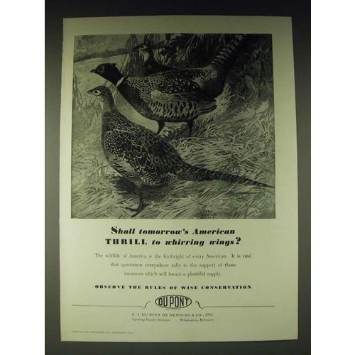 1936 Du Pont Sporting Powder Division Ad - Shall tomorrow's American Thrill