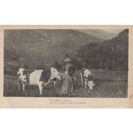 Italian Lady With Farm Cows Italy 1918 WW1 Postcard