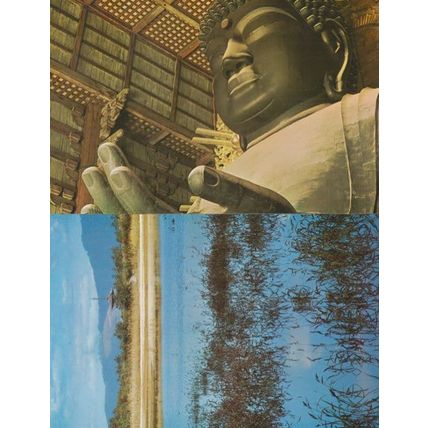 Nara Daibutsu Pagoda 2x Japan Japanese Postcard