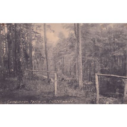 Gumbinnen Partie In Tichtenwalde Prussia Antique Postcard