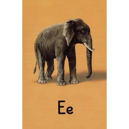 E Is For Elephant Ladybird Old Book Alphabet Childrens Postcard