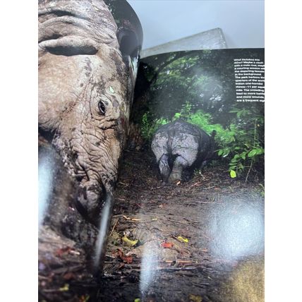 National Geographic Magazine August 2010 Bahamas Blue Holes Collectable