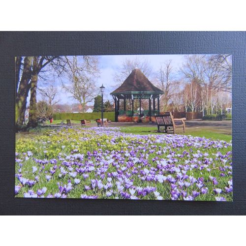 RU-0028 The Bandstand Caldecott Park, Rugby, Warwickshire Postcard
