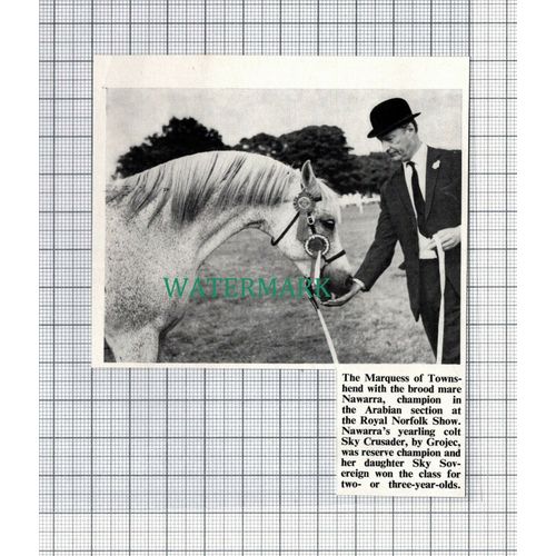 C5273) Marquess Of Townshend With Horse Nawarra - 1971 Cutting