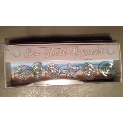 Grasslands Road Sea Shell Magnets "By the Sea" Collection/6 Glass Sea Shells NEW