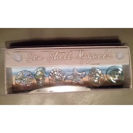 Grasslands Road Sea Shell Magnets "By the Sea" Collection/6 Glass Sea Shells NEW