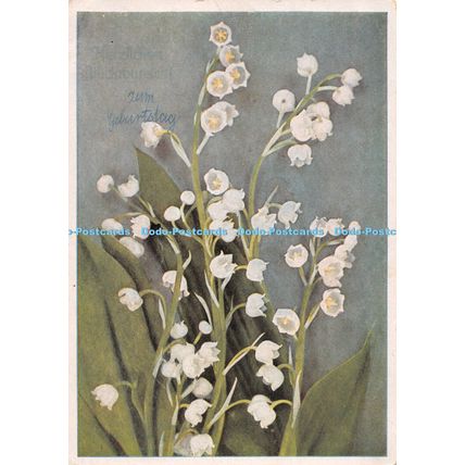 D031016 Flowers. Pickenhahn. Chemnitz. Postcard