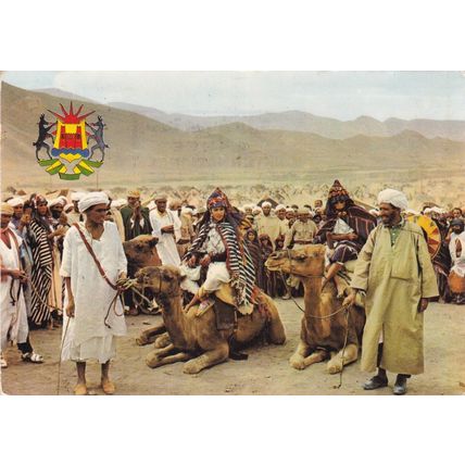 Moussem d'Imilchil Betrothal Ceremony Morocco Postcard posted 1975 creased