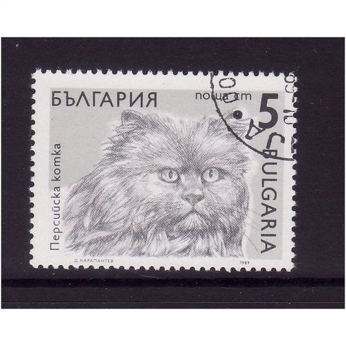 BULGARIA 1989 SG3659 5s PERSIAN CAT FINE USED