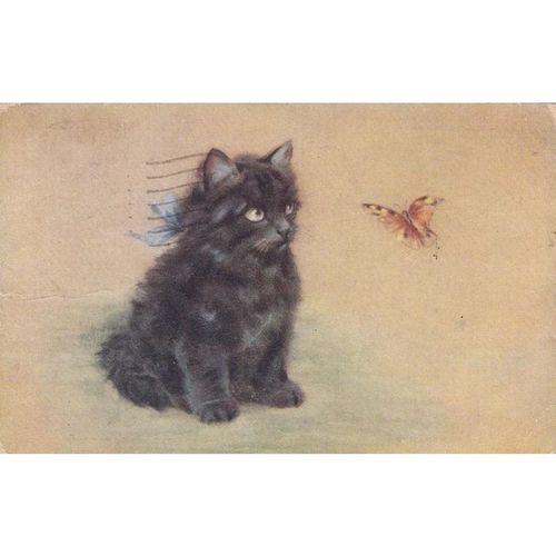 Artist Drawn Kitten Watching A Butterfly Postcard (AN037)