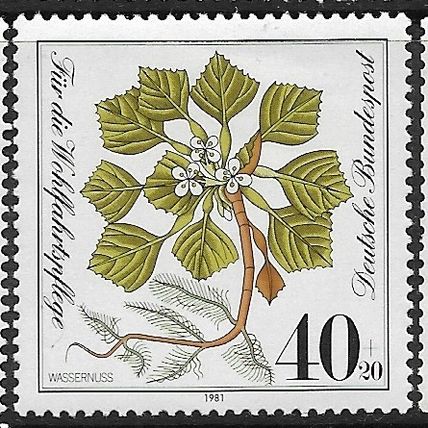 1981 Michel 1108 - MNH (**)