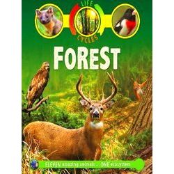Life Cycles: Forest