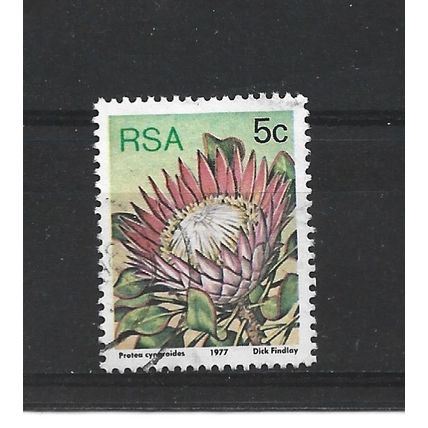 SouthAfrica.SG418a 5c Protea Cynaroides.Fine Used.Sep25b