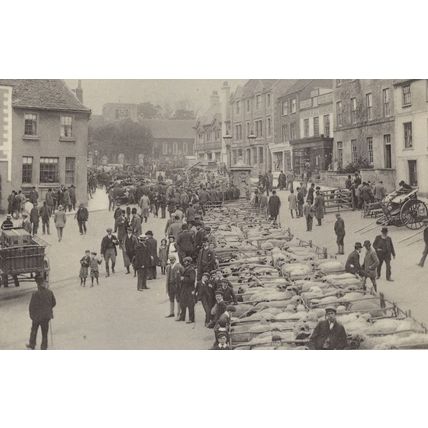 Faringdon Sheep Meat Market Oxford Real Photo Postcard