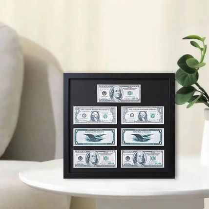 Multi-Dollar Picture Frame,Dollar Bill Frame,Dollar Bill Holder,14X15 Frame for