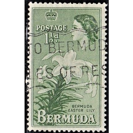 Bermuda, 1953-58 Easter Lilies, SG 137 (Scott #145), used