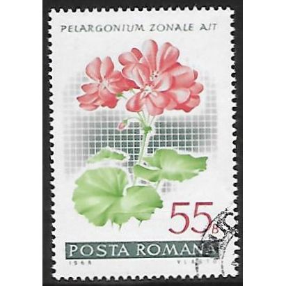 Mi 2689: 55 b. multicoloured Garden Geraniums: Pelargonium zonale (Hybrid)